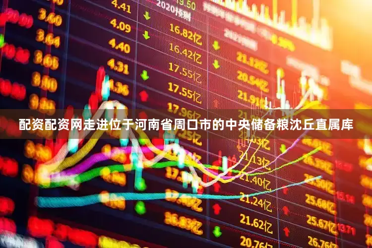 配资配资网走进位于河南省周口市的中央储备粮沈丘直属库