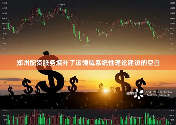 郑州配资服务填补了该领域系统性理论建设的空白