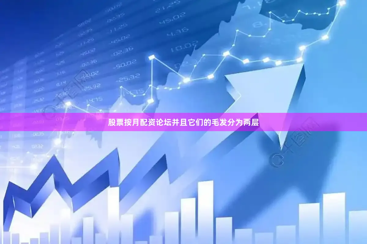 股票按月配资论坛并且它们的毛发分为两层