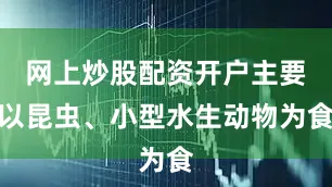 网上炒股配资开户主要以昆虫、小型水生动物为食