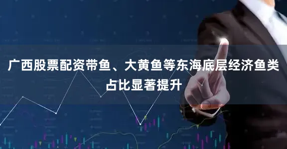 广西股票配资带鱼、大黄鱼等东海底层经济鱼类占比显著提升