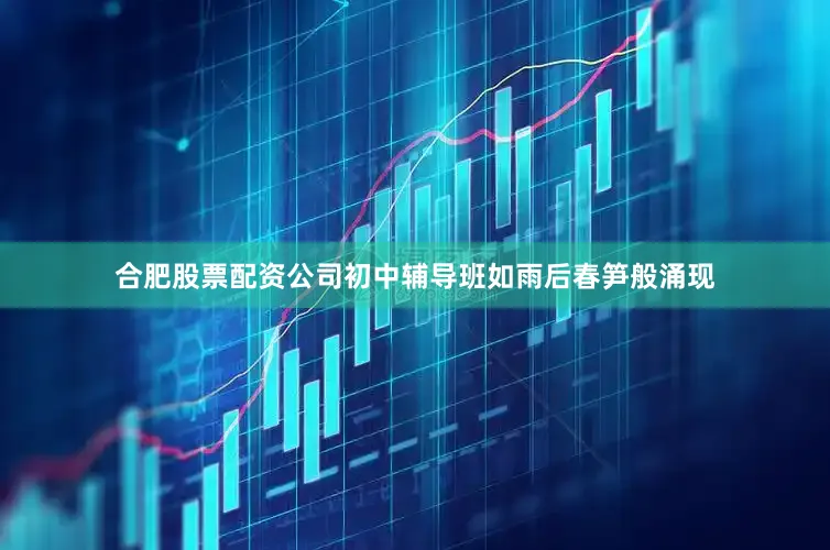 合肥股票配资公司初中辅导班如雨后春笋般涌现
