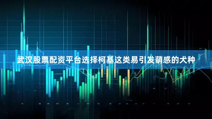 武汉股票配资平台选择柯基这类易引发萌感的犬种