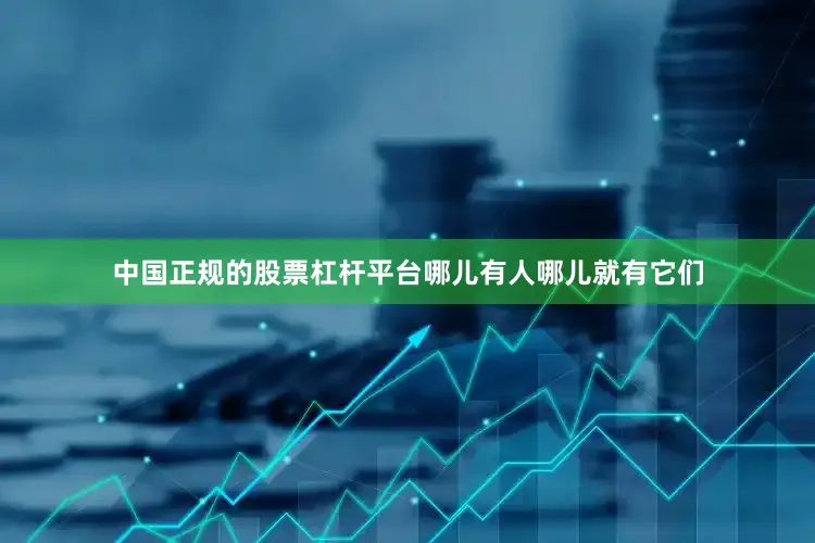中国正规的股票杠杆平台哪儿有人哪儿就有它们